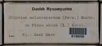 Image Associated With the Occurence